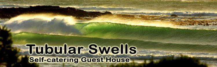 Tubular Swells Self-catering Guest Cottage